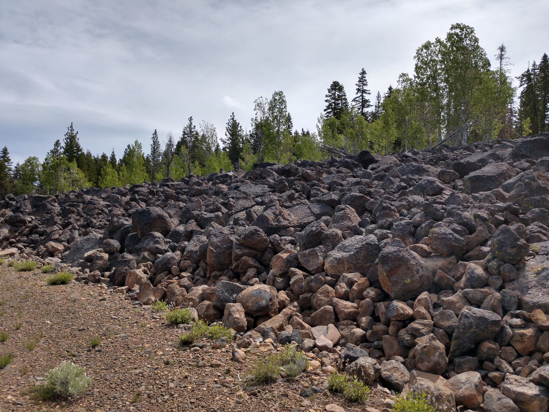 shasta cascade timberlands scenery